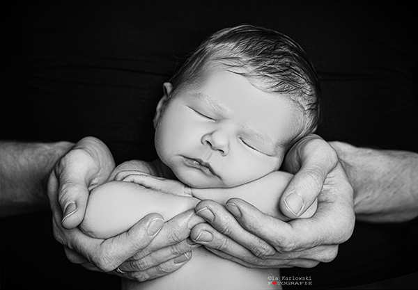 Babyfotografie professionell: Ein schlafendes Baby in Frontalansicht. Das Köpfchen liegt auf seinen verschränkten Ärmchen. Diese wiederum liegen in Papas Händen.  